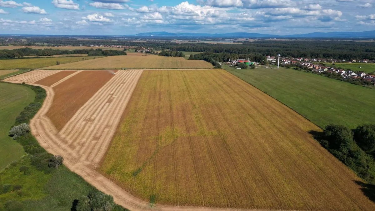 Grünland-Bewirtschaftung im Milchviehbetrieb