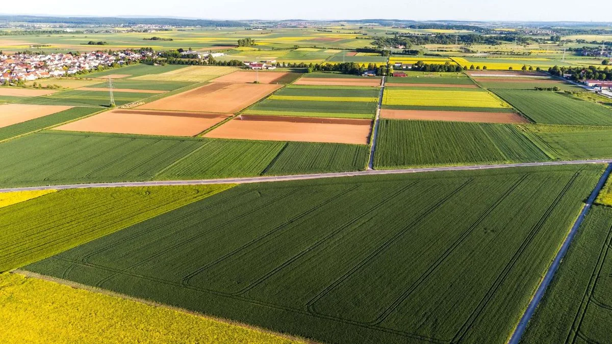 Feldernte aus der Luft, Fläche verpachten oder selbst nutzen