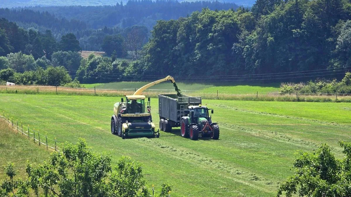 Landwirtschaftlicher Betrieb in der Feldlandschaft